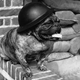Illustration for article titled The Loyal Dogs Who Served Alongside Human Soldiers In War